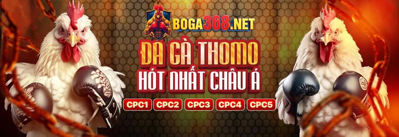Hình ảnh hỗ trợ khách hàng Vina88